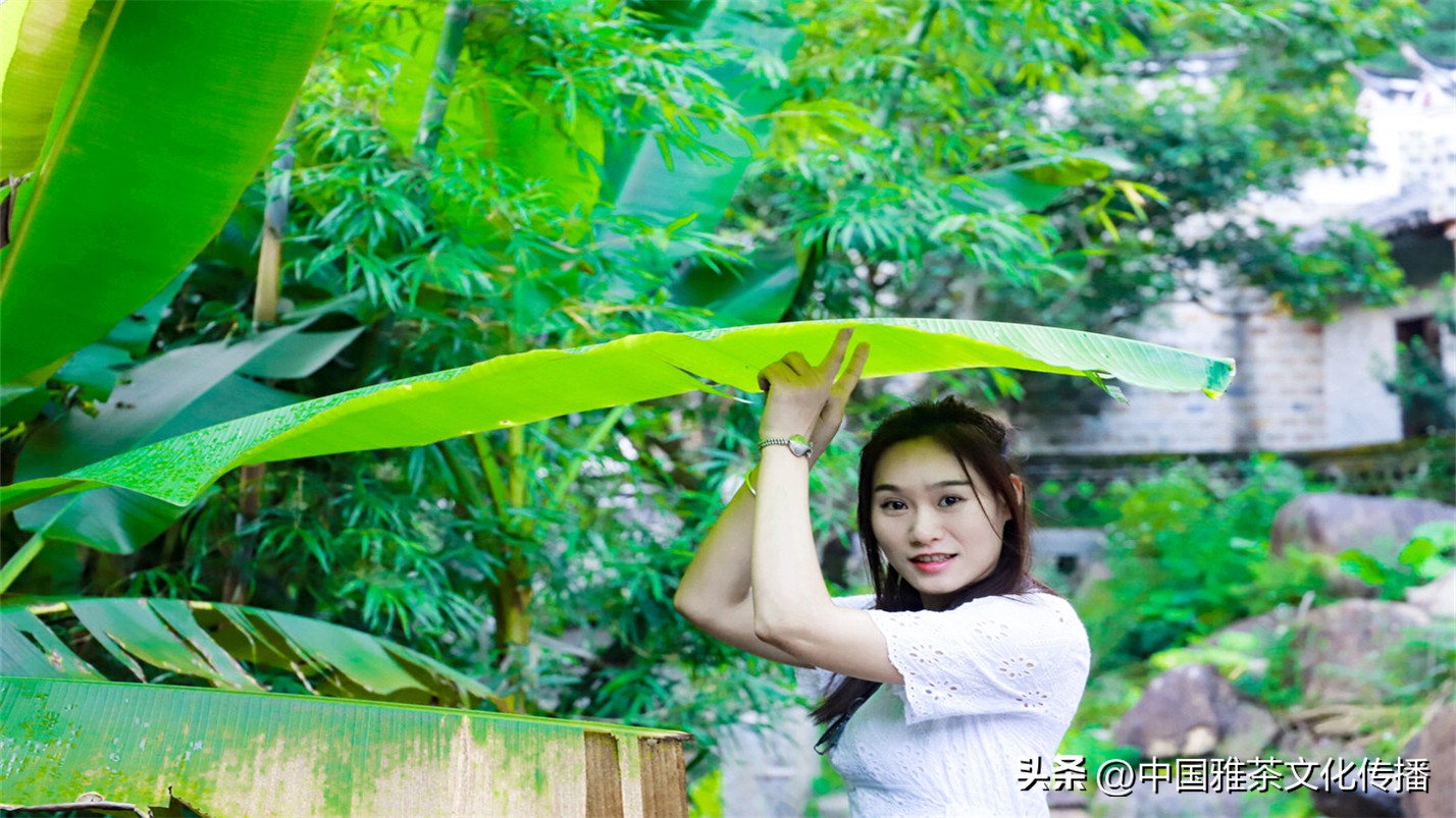 往事越千年人生弹指间意思解释,往事越千年人生弹指间的含义