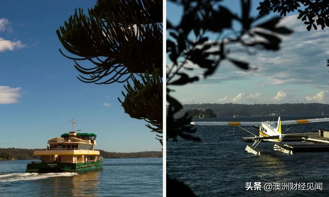 悉尼主城区房价,悉尼中心区房价