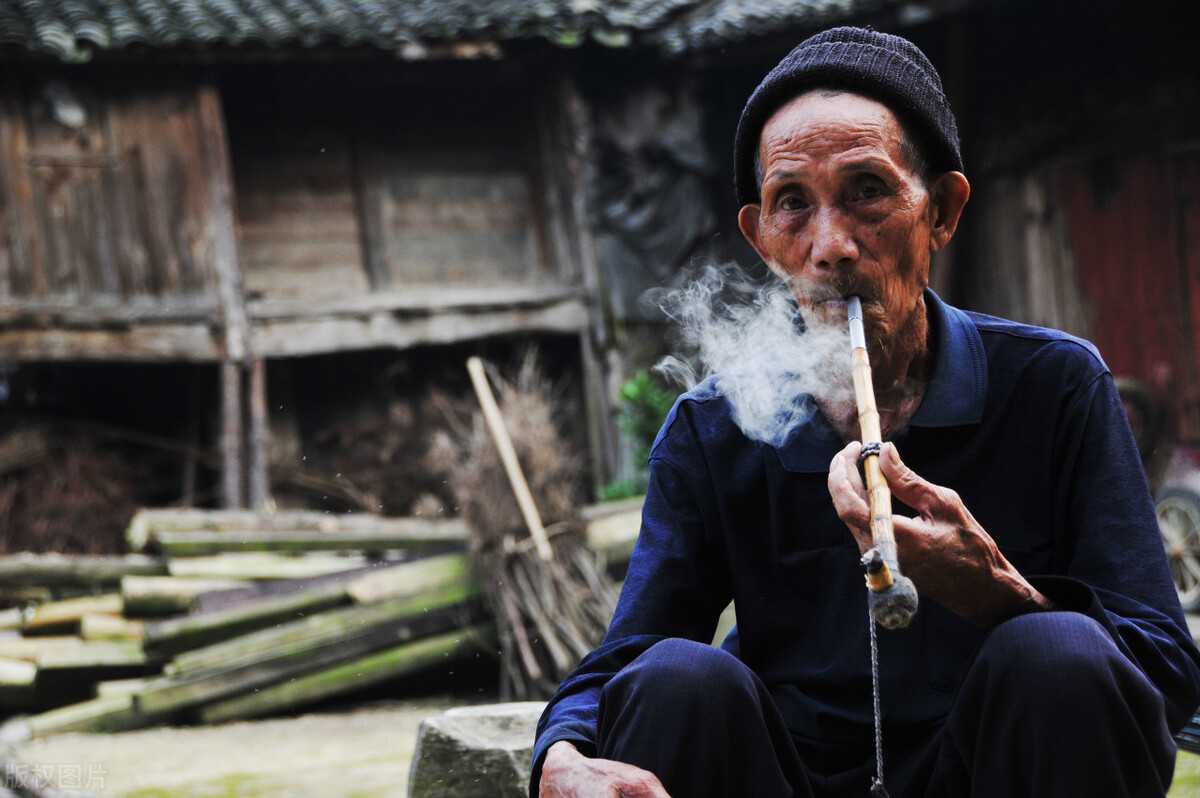 五十只母鸡,五百只老母鸡