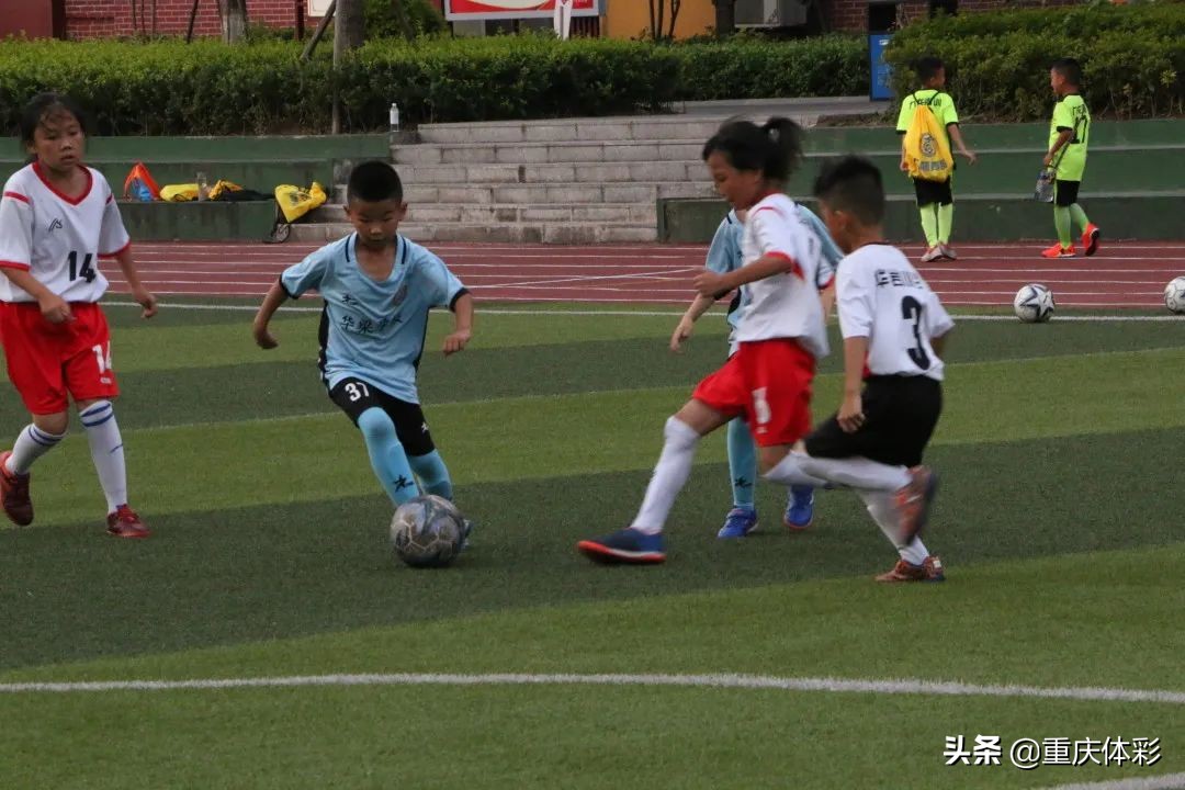 中国体育足球彩票开奖直播现场,中国足球彩票直播