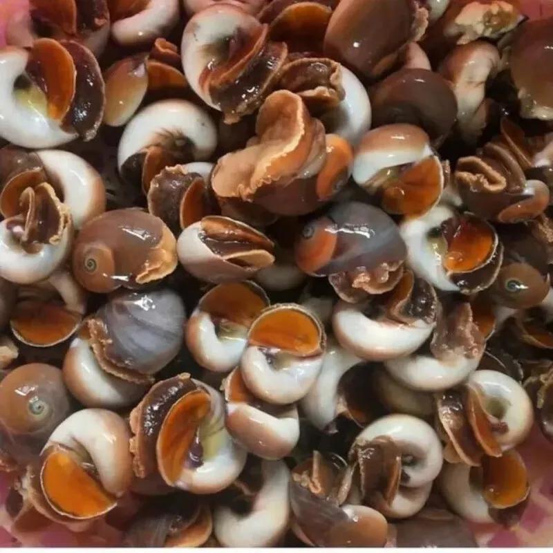 丹东附近的避暑好地方,丹东出去避暑自驾游3-4天最佳路线