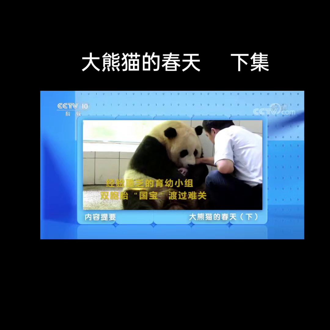 值得阅读📖一书《大熊猫的春天》视频中是2018年，“...