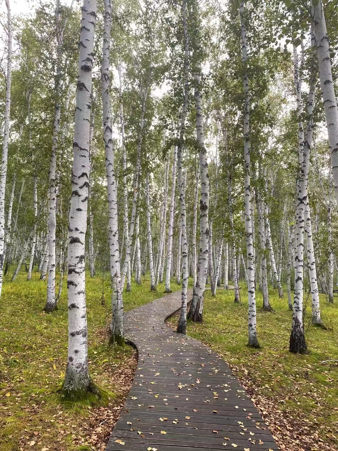 走过*疆新**、内蒙、*藏西**,才知道云南旅游是老天爷赏饭吃了