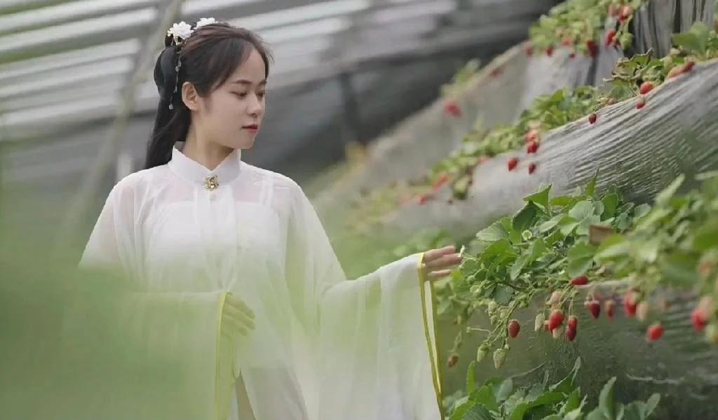 青岛城阳旅游最好玩的地方,青岛城阳旅游攻略必去景点有哪些