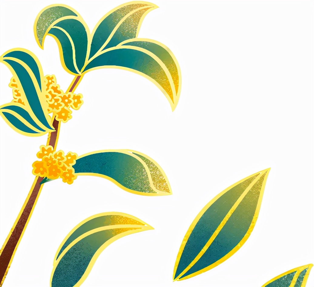 江西民宿排行榜前十名,江西鹰潭民宿排行榜第一名