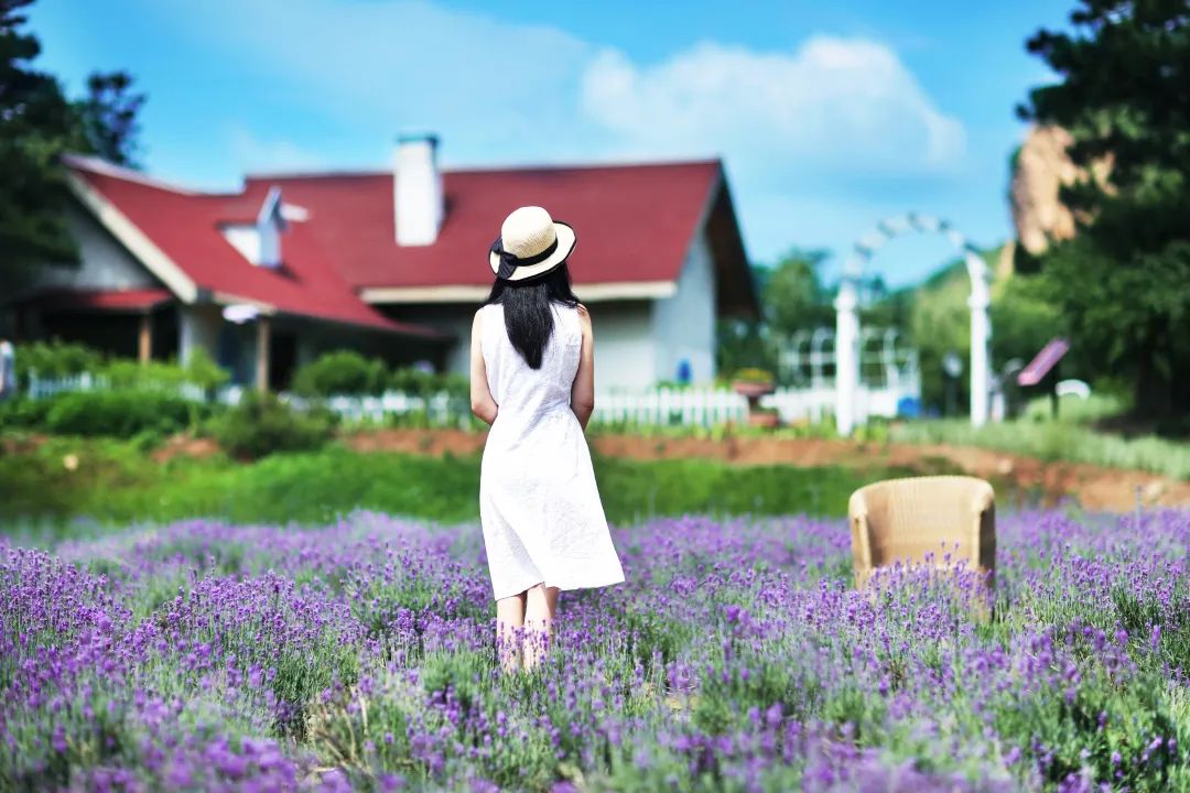 北京市密云区云峰山森林康养基地,北京密云康养基地