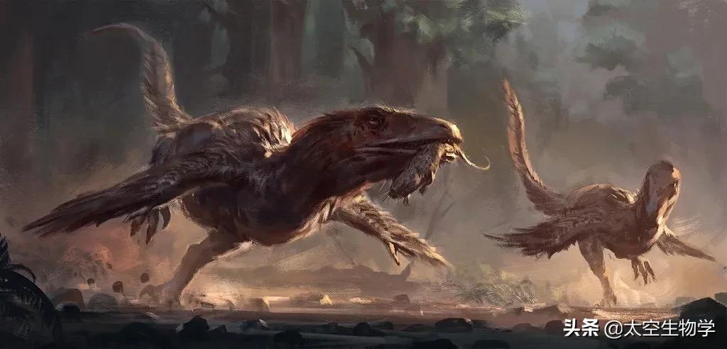 恐龙能适应现在的地球环境吗,恐龙在什么样的环境下才能有翼