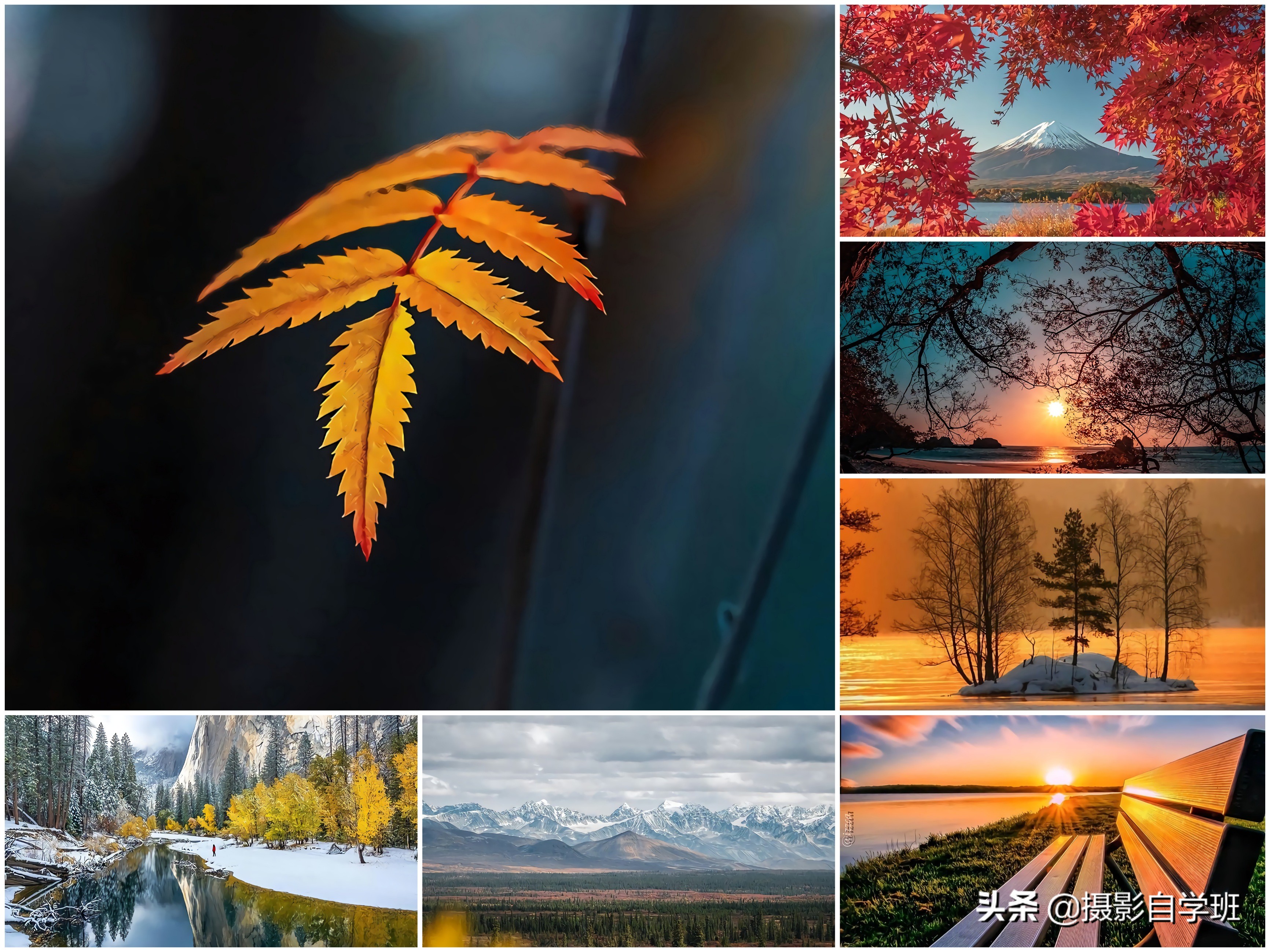 摄影入门教你轻松拍大片,摄影初学学会这几招就能拍美照