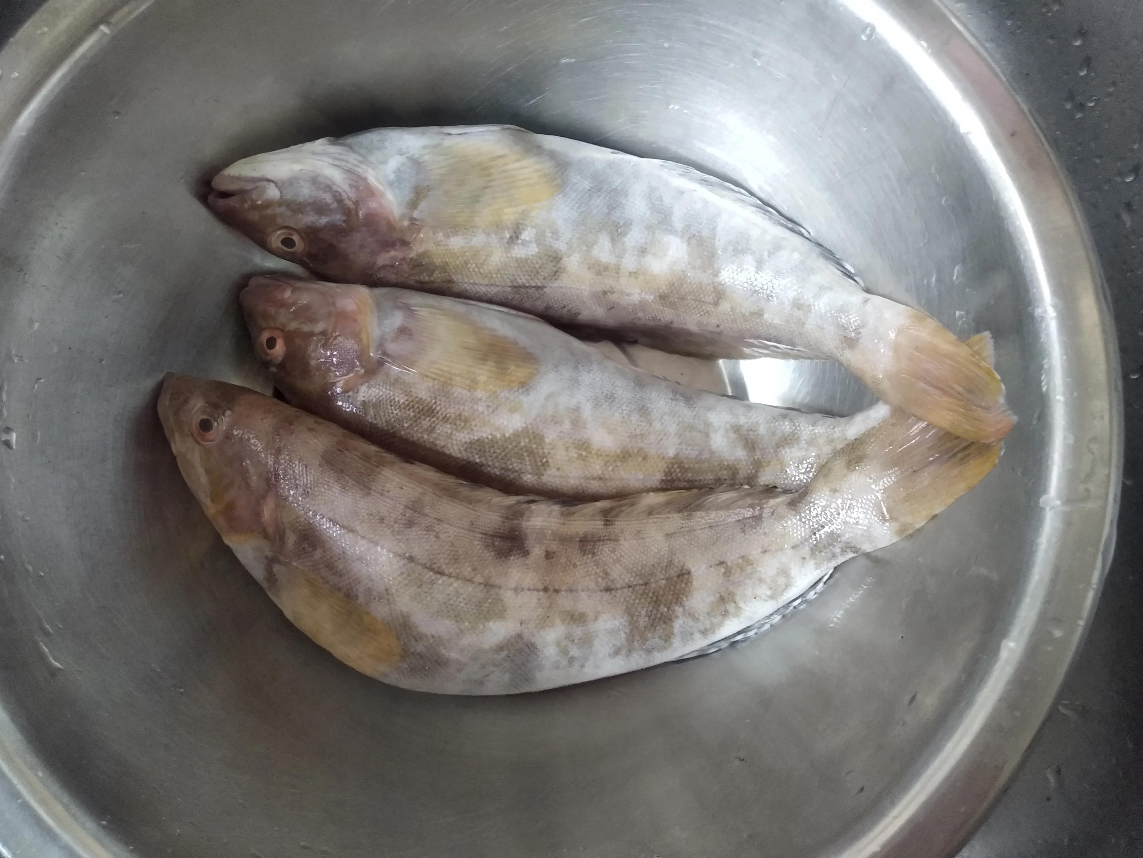 30种最常吃的海鱼图片大全,比较常见可以吃的海鱼