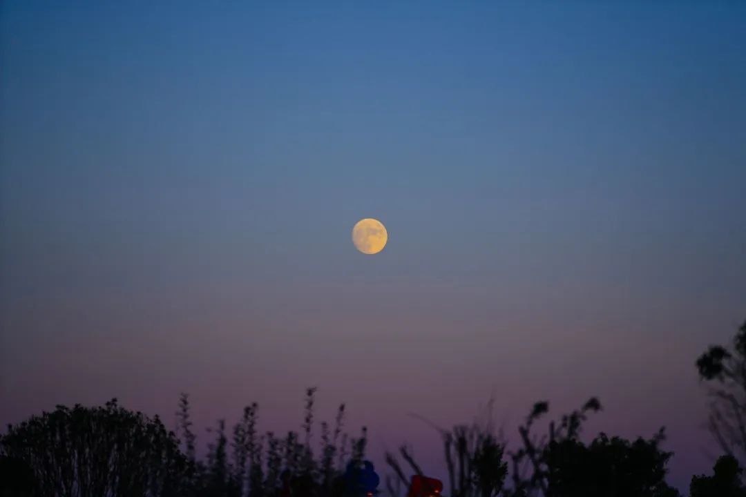 空港花田几点免费,空港花田最新信息