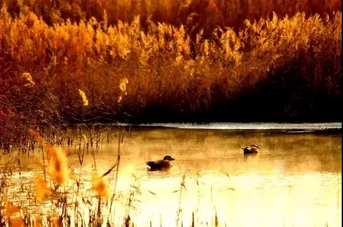 去甘肃旅游最值得去的十大景点 (甘肃16个最值得去的旅游景点)