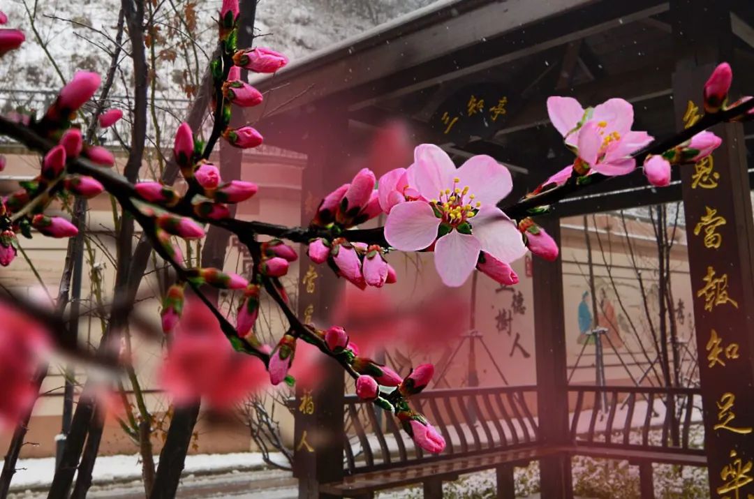 南京燕子矶中学特色,南京燕子矶中学在南京市排名