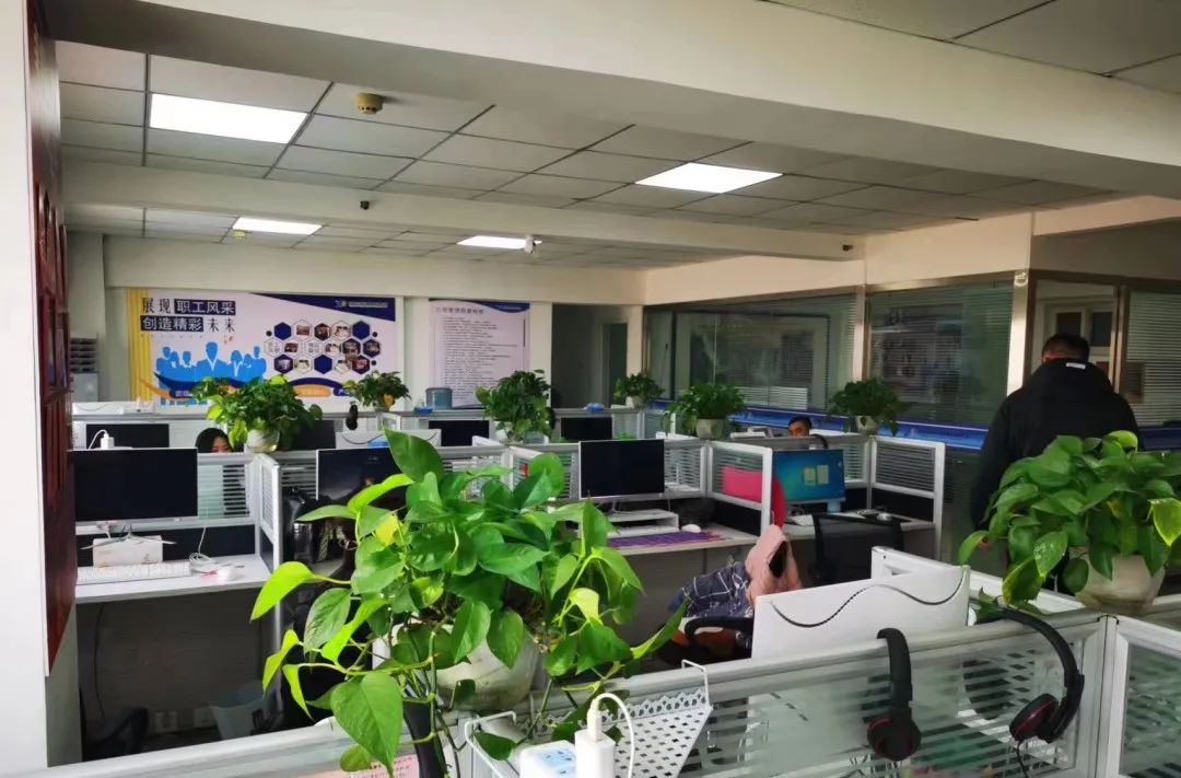 论文自己写，代笔*子骗**多！