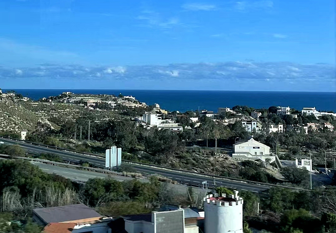 彩色旅图·西欧纪行｜瓦伦西亚的情人节，小贩在饭店外面卖鲜花