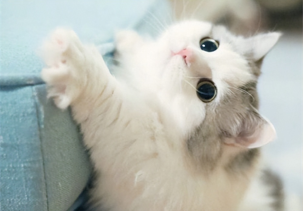 口鼻呼吸面容如何矫正,口鼻相通怎么修复