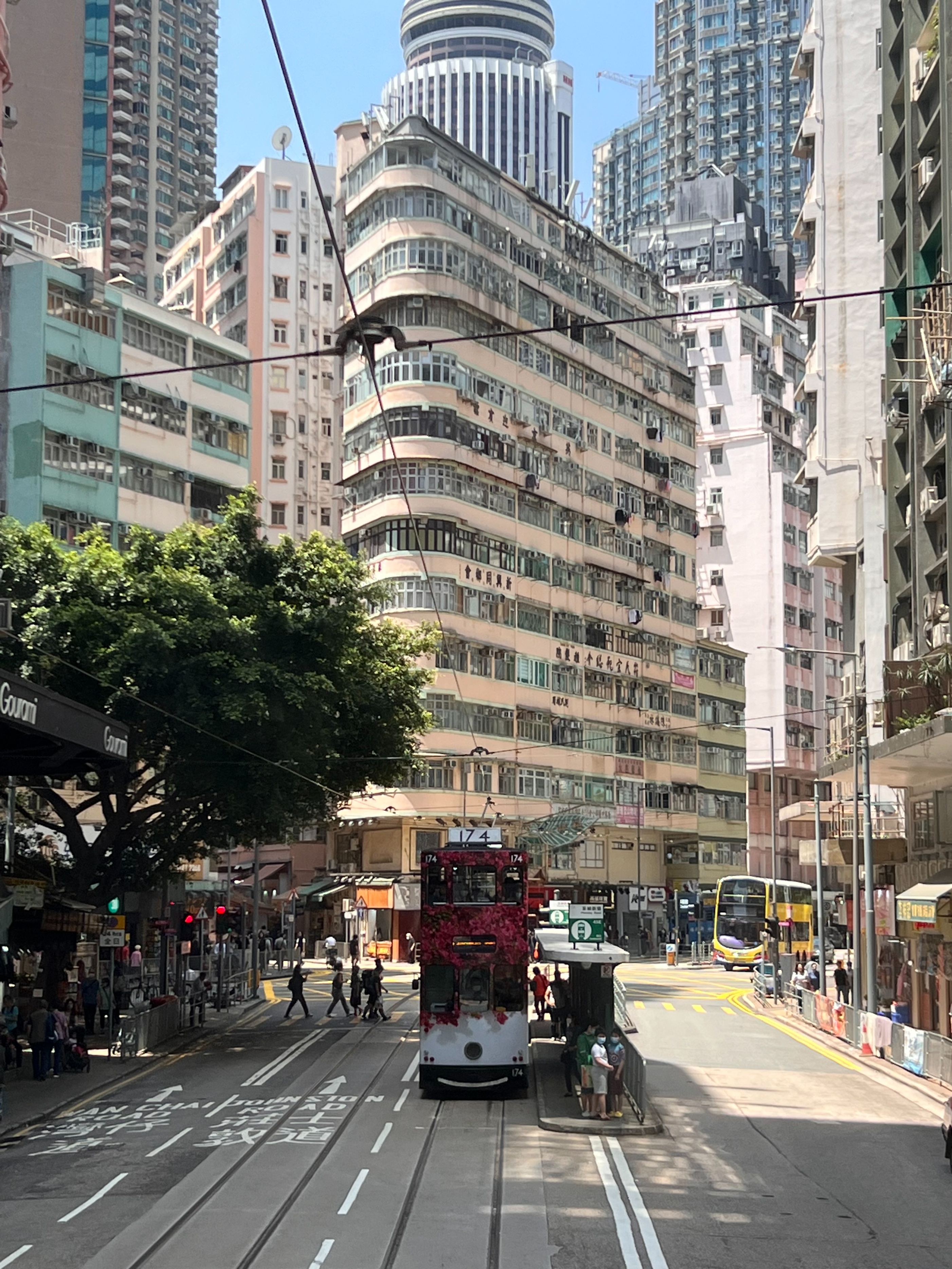 抄作业旅游,暑假香港旅游旅程