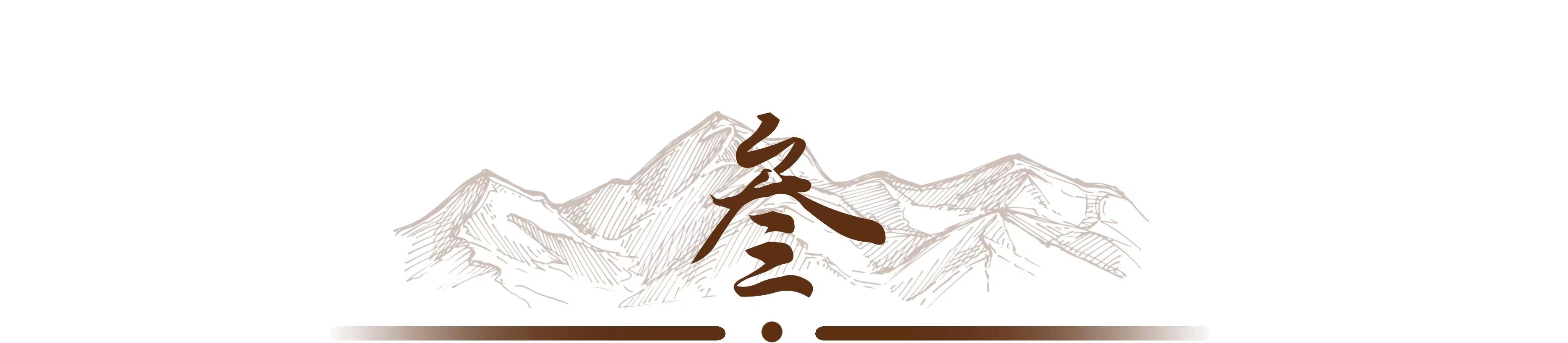 女子凭空消失算命先生一句话破案,浙江女子离奇消失十四年