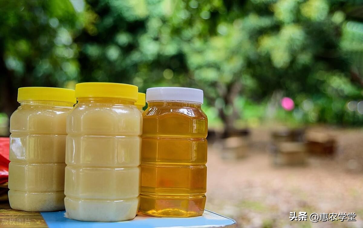 多少钱一斤的蜂蜜才是真蜂蜜,蜂蜜几年过期怎样辨认真假蜂蜜