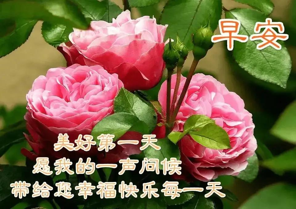 2023年农历是什么年癸卯年,农历2023年癸卯年正月结婚吉日