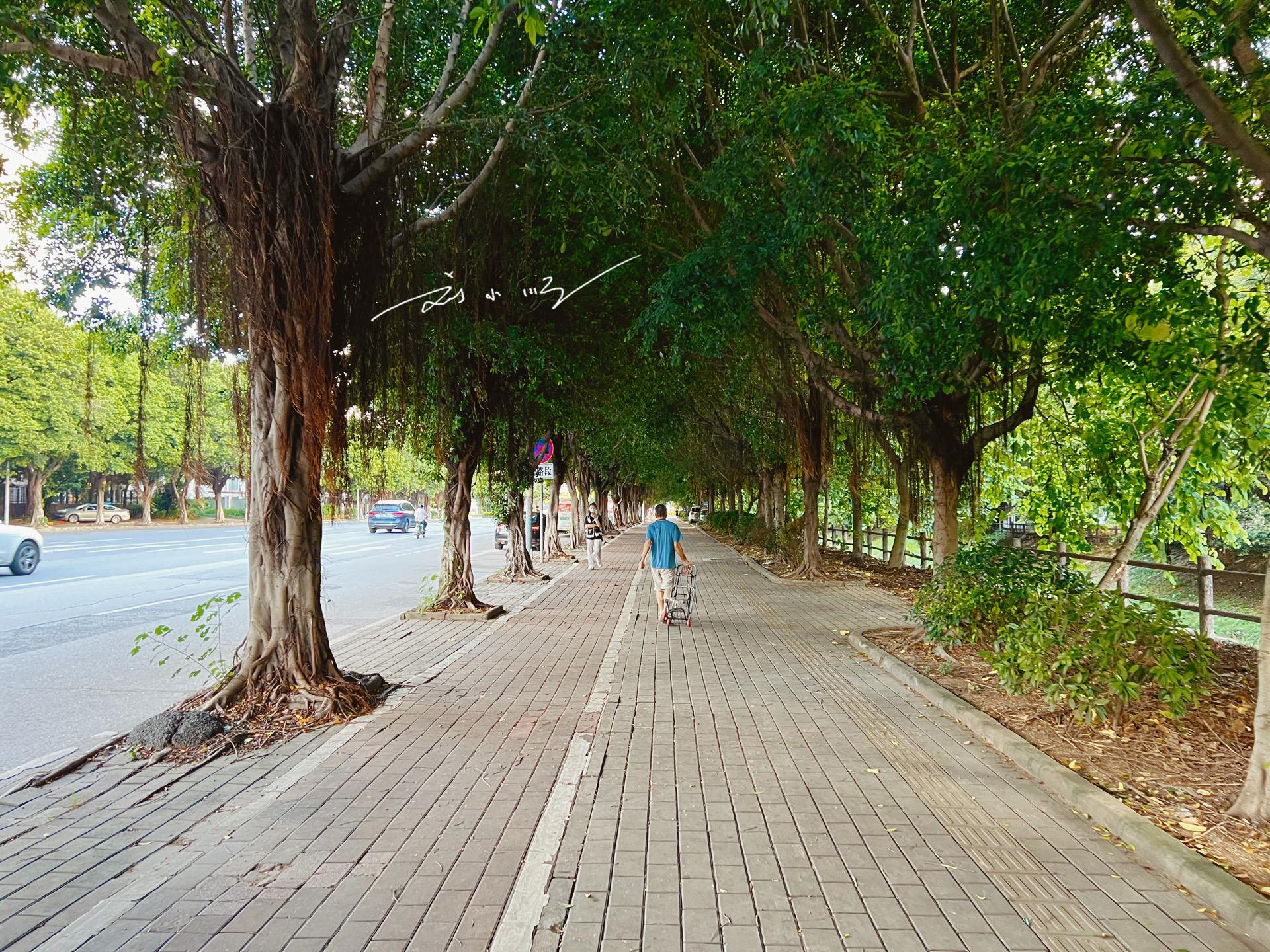 广佛区域包括广州吗,广佛交界都有哪些区