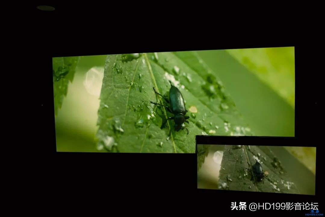 jvcn98和jvcn118实际效果差别大吗,jvcn118配什么幕布