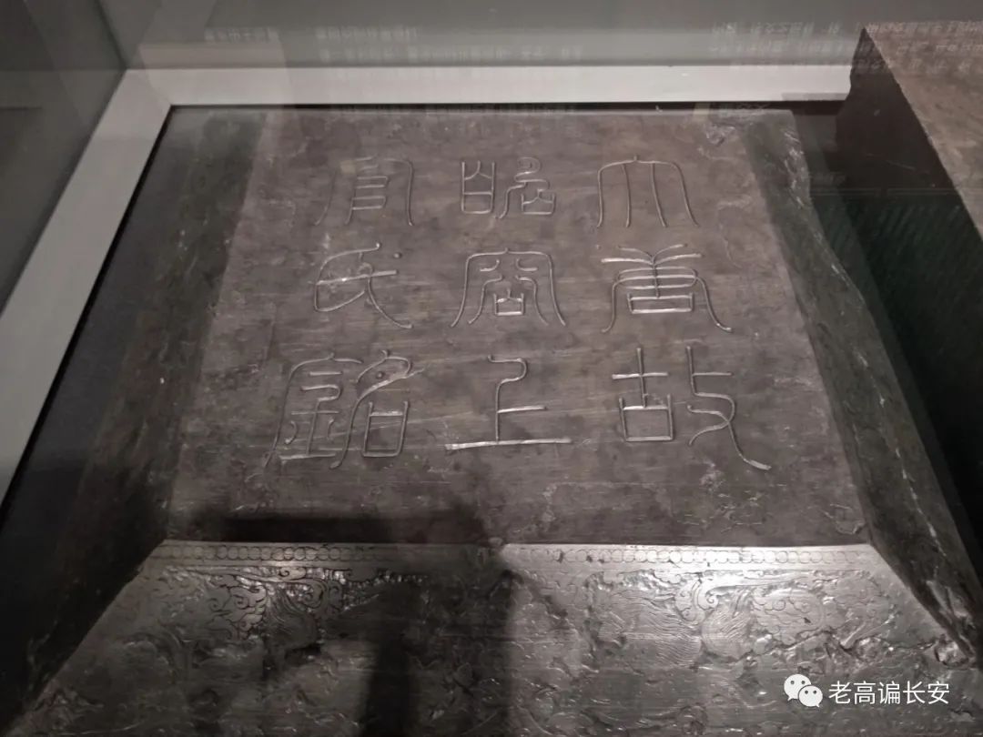 假期参观陕西考古博物馆,陕西考古博物馆开馆直播