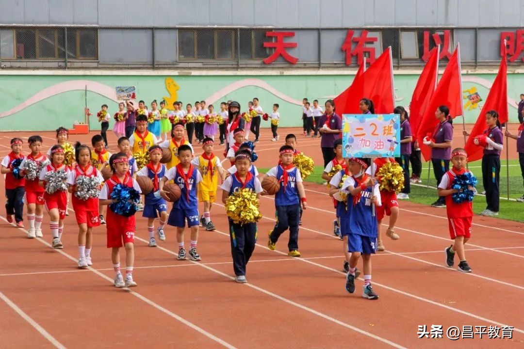 校园竞技体育的魅力,校园青春比赛