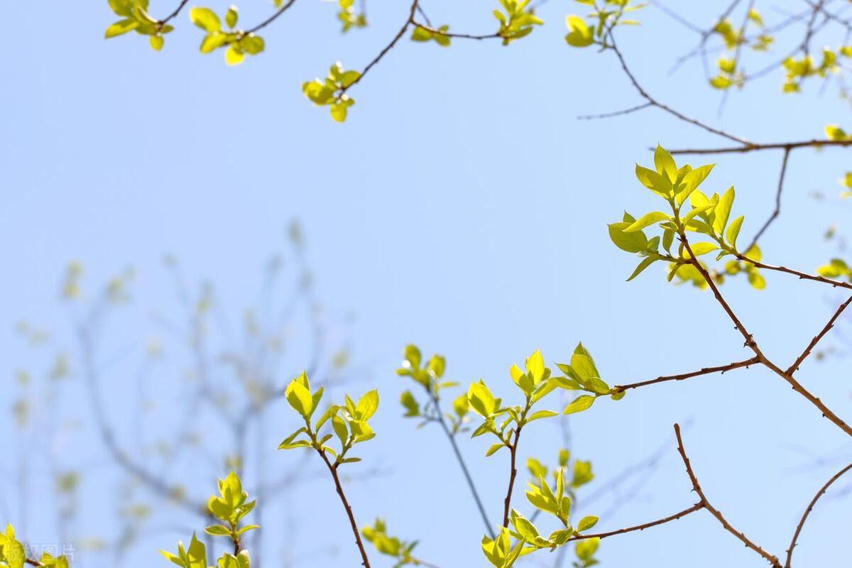 儿子的女朋友第一次上门，看到她拿的东西，我劝儿子赶紧分手
