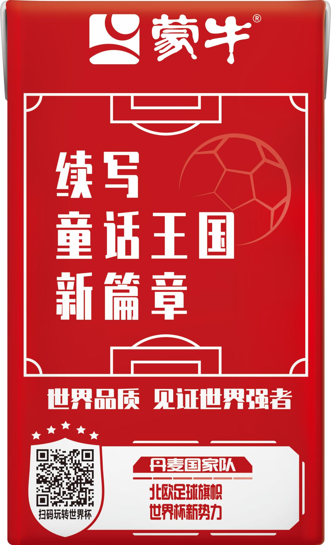 世界杯足球员故事,世界杯队长纪录片第四集