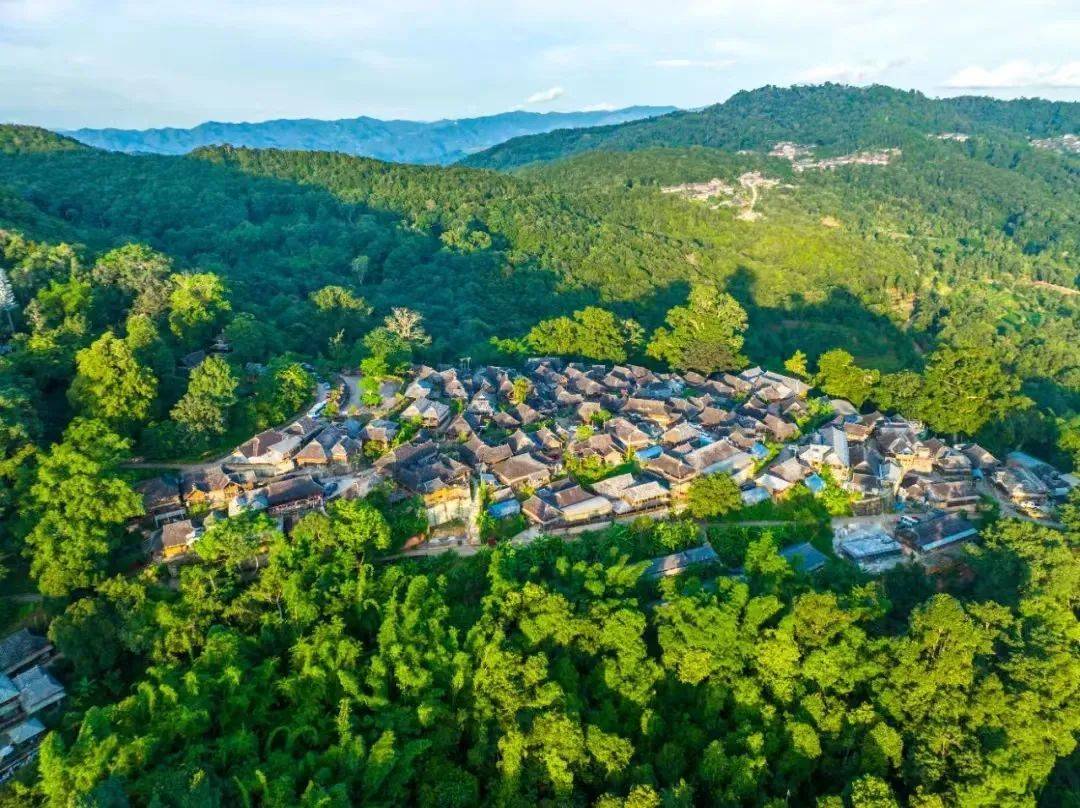 鏅幢涓栫晫鑼舵簮,澶╄祼鏅幢涓栫晫鑼舵簮