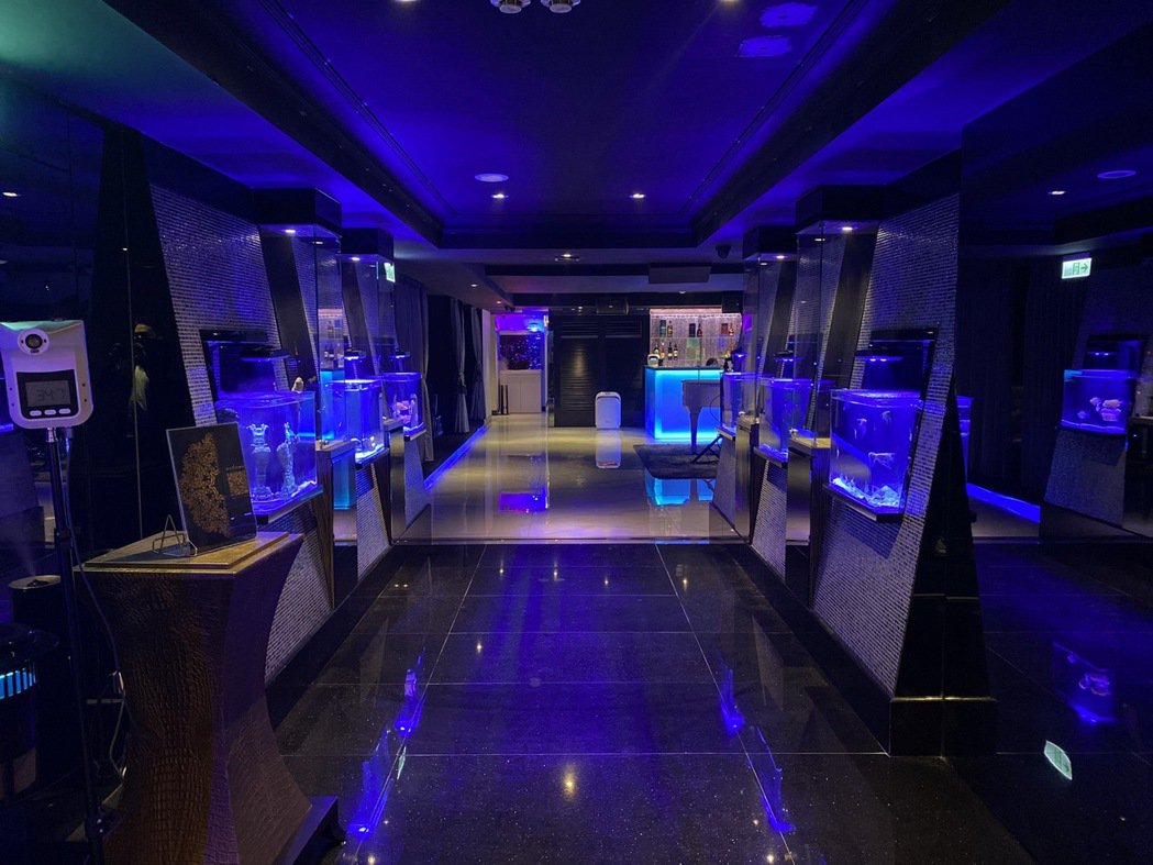 台湾脱衣舞娘，都接什么活儿