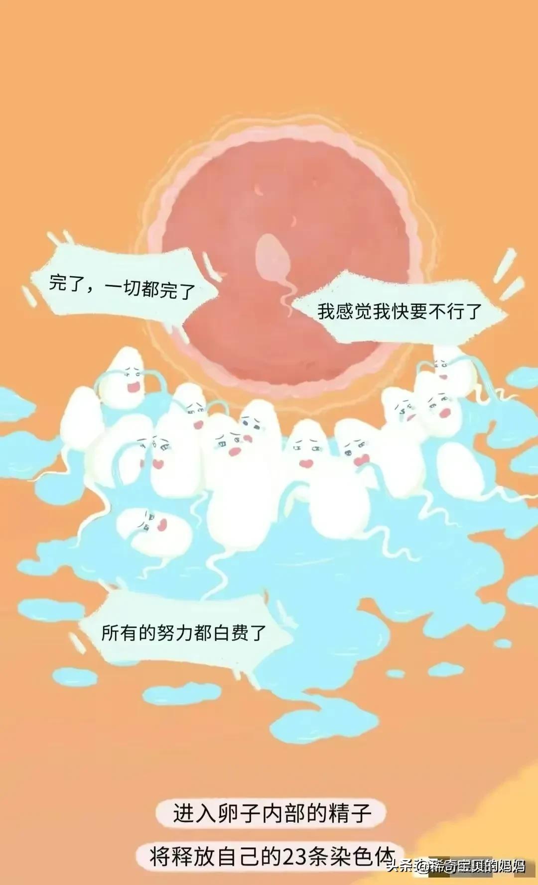 绮惧瓙杩涘叆浜轰綋12灏忔椂鍙樺寲,绮惧瓙杩涘叆浜轰綋24灏忔椂鍙樺寲