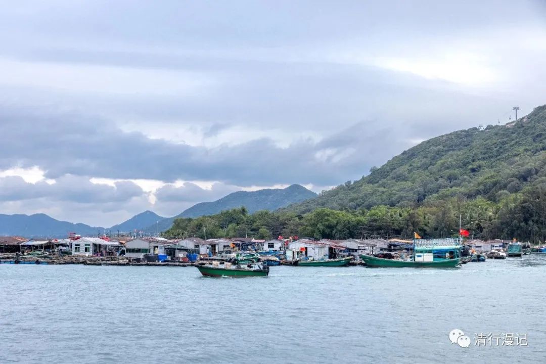 海南人去南湾猴岛,海南三亚南湾猴岛门票