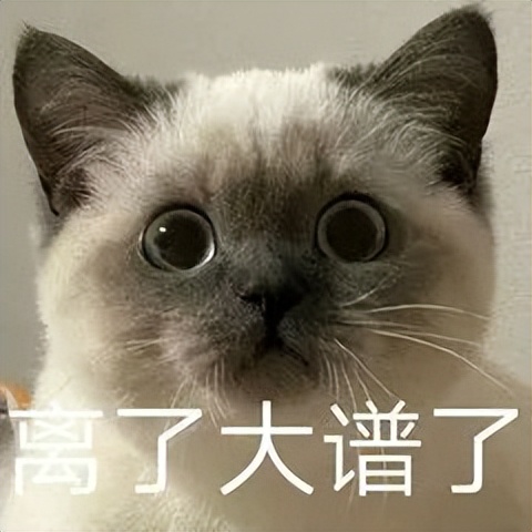 保密基础知识应知应会涉密载体,涉密人员保密管理指南全文