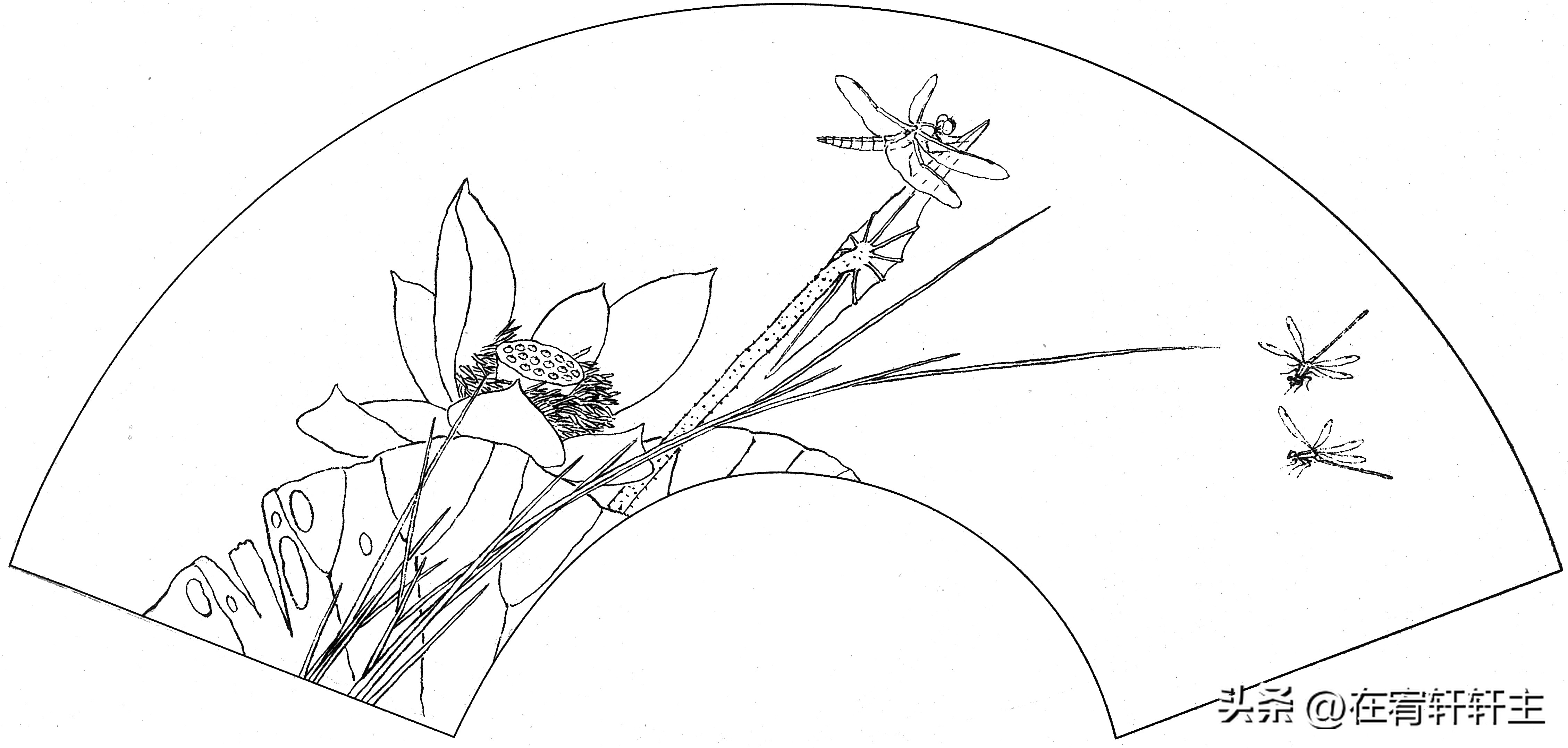 工笔白描祥云图案扇面,工笔扇面葡萄白描图片