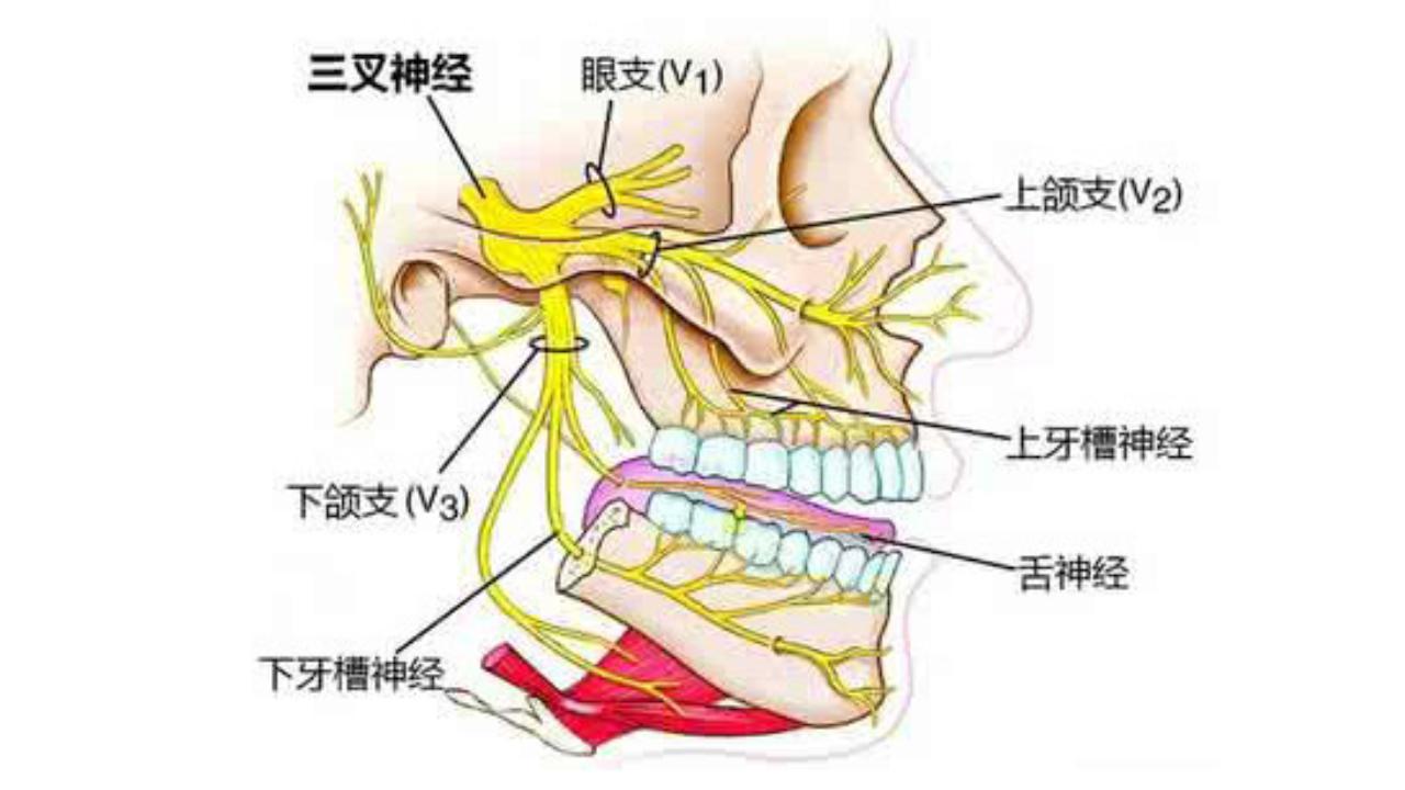 世上最痛的几种病，疼痛程度不亚于古代酷刑，经历过的都是超人