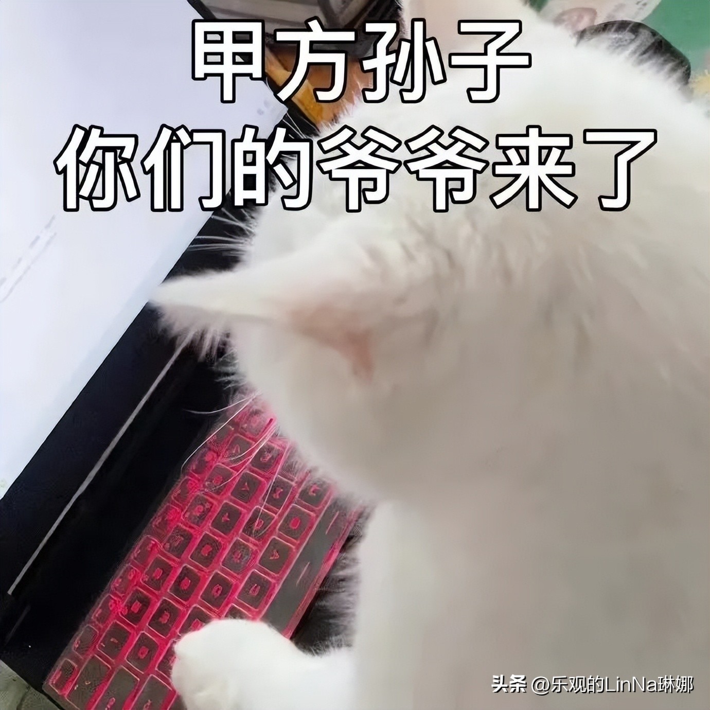 山寨品牌大盘点，甲方看了直摇头