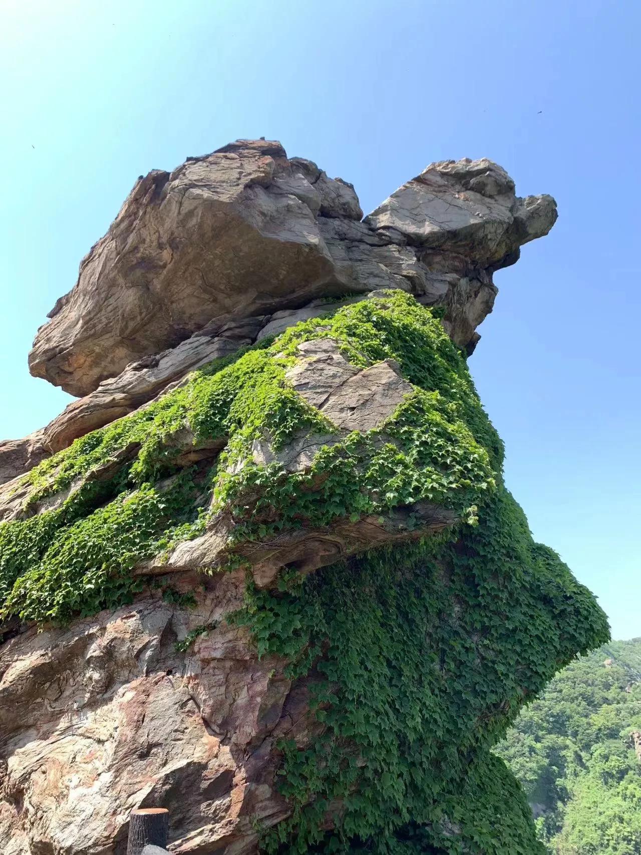 连云港到上海自驾游攻略,北京到连云港自驾游攻略