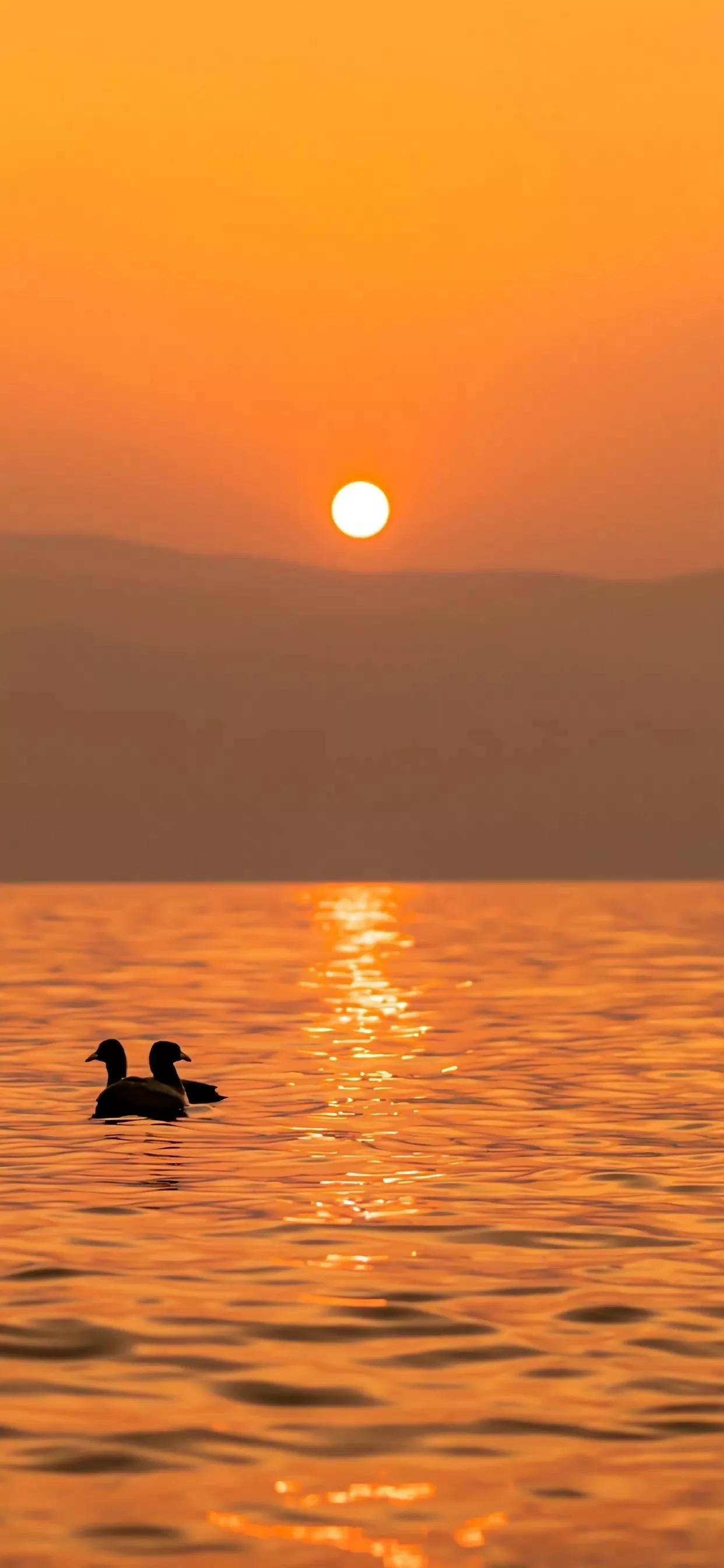 春天清新壁纸图片大全,手机壁纸春天风景超清