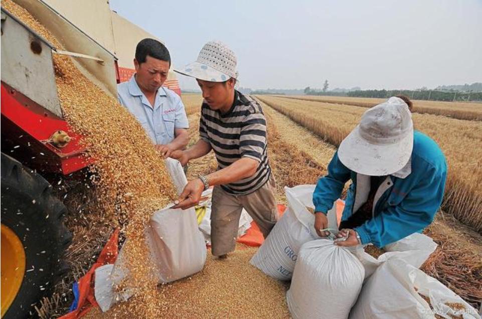 告别打工重回自产自销农村生活,告别家乡去打工挣钱回来过年