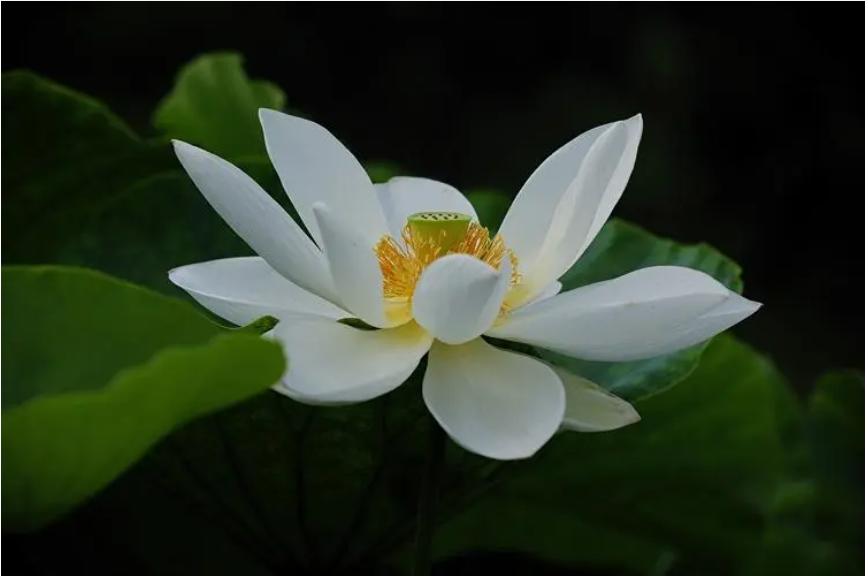 不喜欢发朋友圈的女生什么心理,不爱发朋友圈的女人是怎样的心理