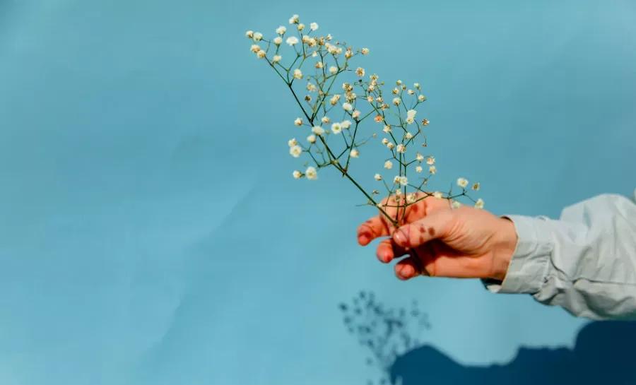 不问花开几许只愿浅笑安然全诗,相逢不问花开几许只愿浅笑安然