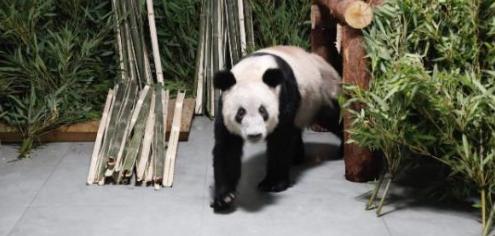 神舟十六号30日9时31分发射,神舟十三号16日0时23分发射