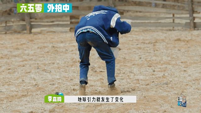 孟子义桃花坞捡羊粪是哪一期,敖瑞鹏桃花坞铲羊粪