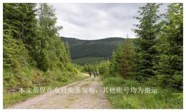 mrna疫苗的研发历程,mrna疫苗的发展趋势