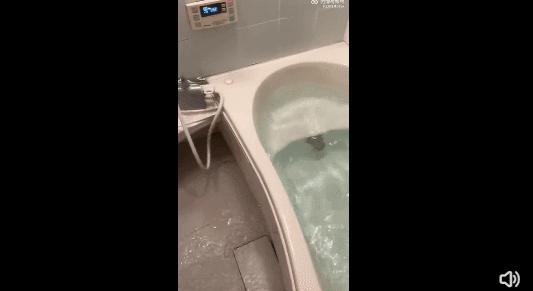 日本发生7.4级地震现场,日本发生7.4级地震