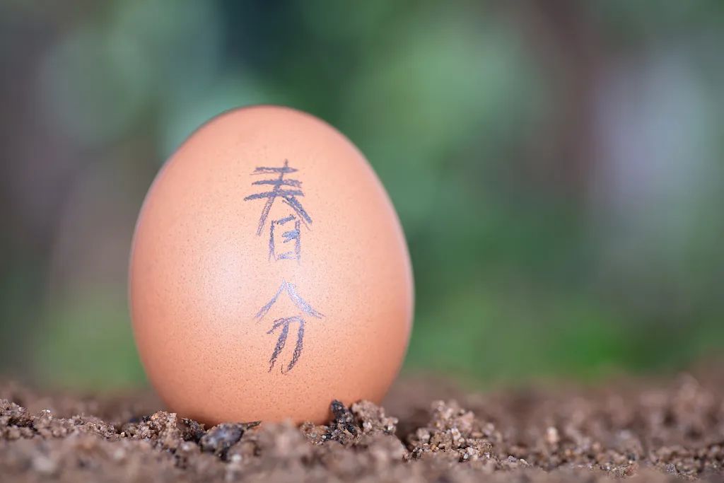 就在明天贾浩廷歌曲,就在明天演唱