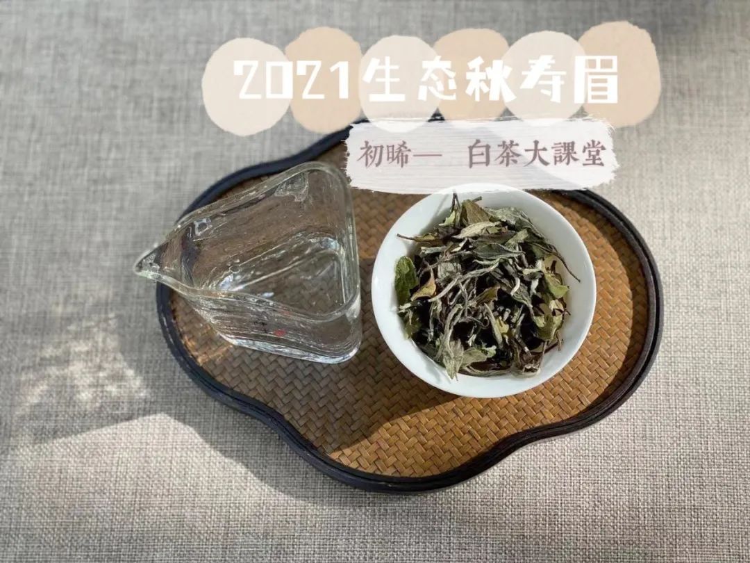 泡茶用盖碗怎么防烫手,泡茶用盖碗好还是不烫手好