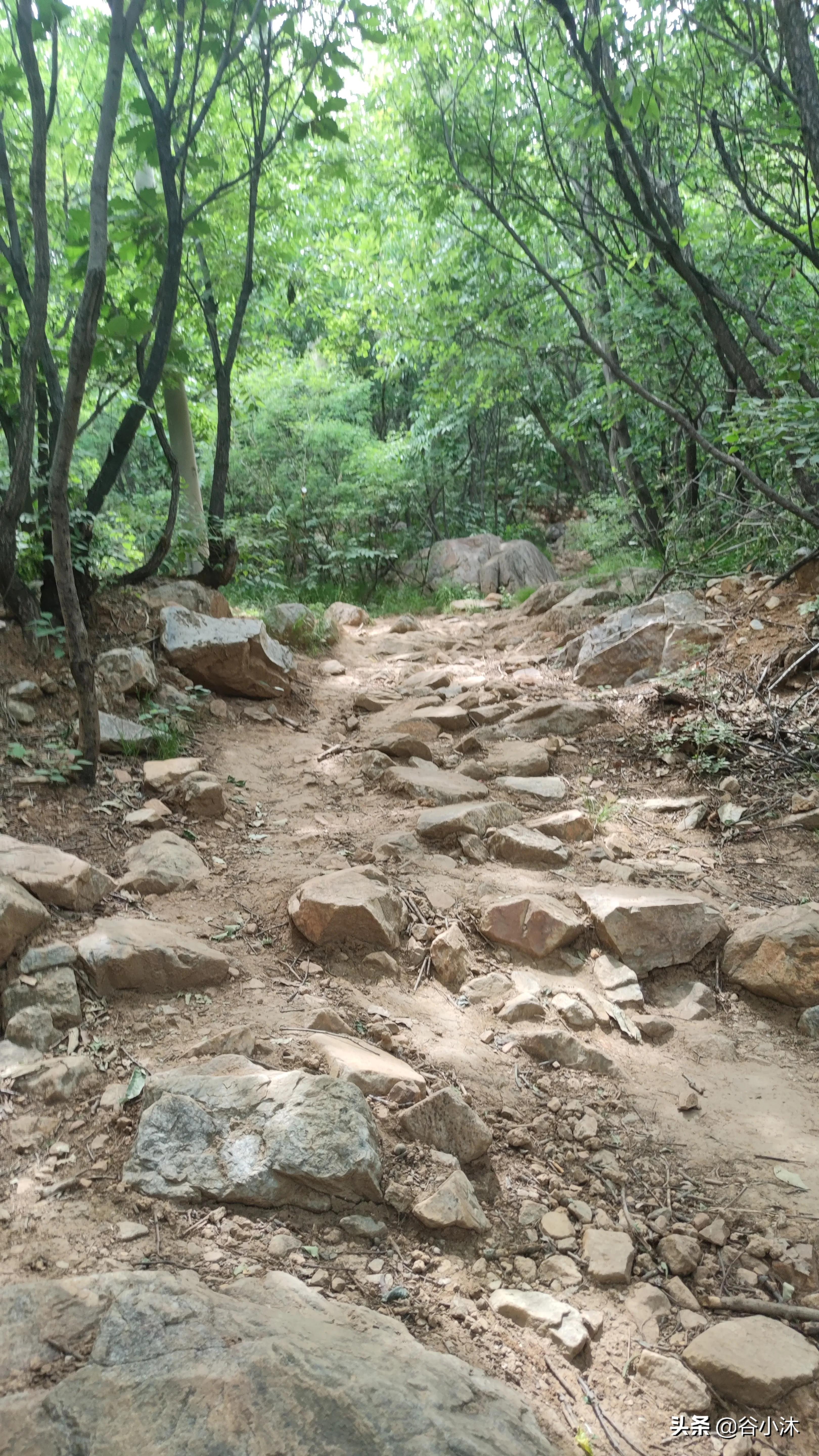 登封最值得爬的山,嵩山挡阳山徒步攻略