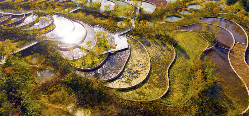 俞孔坚景观设计作品沈阳建筑大学,俞孔坚生态主义景观设计研究